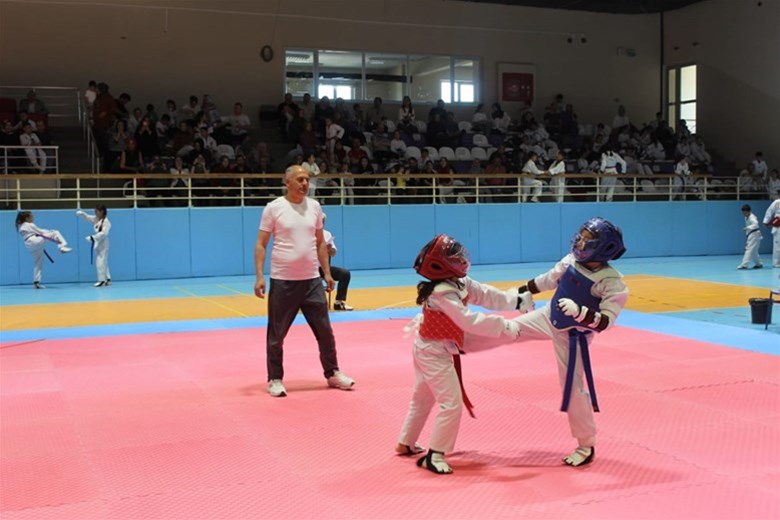 30 Ağustos Zafer Haftası Taekwondo Minikler Müsabakaları Tamamlandı